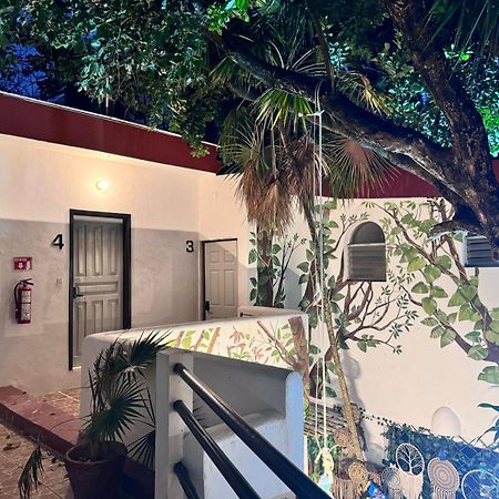 Hotel Ha Garden Gallery - 5Th Avenue Плайя-дель-Кармен Екстер'єр фото