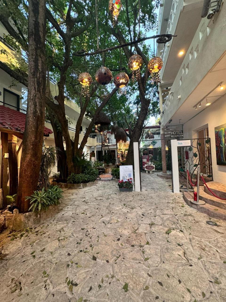 Hotel Ha Garden Gallery - 5Th Avenue Плайя-дель-Кармен Екстер'єр фото