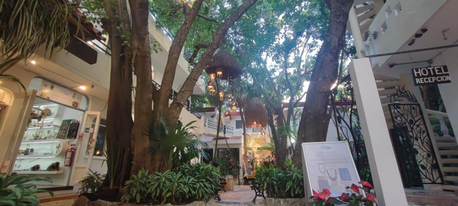 Hotel Ha Garden Gallery - 5Th Avenue Плайя-дель-Кармен Екстер'єр фото