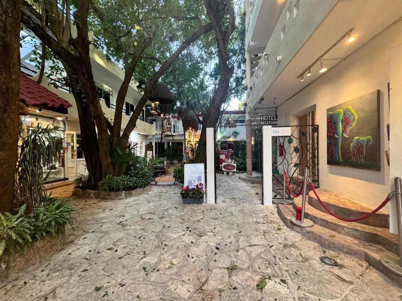 Hotel Ha Garden Gallery - 5Th Avenue Плайя-дель-Кармен Екстер'єр фото